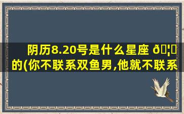 阴历8.20号是什么星座 🦊 的(你不联系双鱼男,他就不联系你)